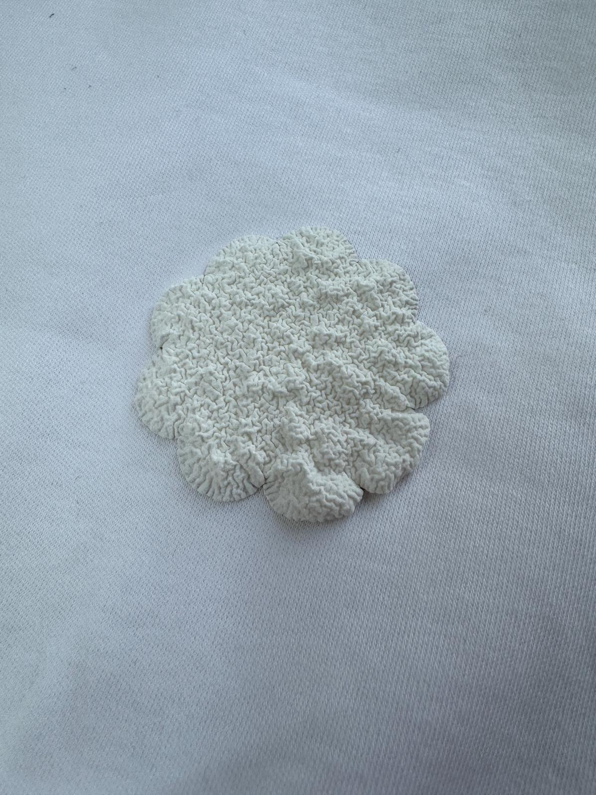 Personalisierter Baby Body Hase "Unser kleines Osterwunder" mit Namen und Rückseite mit Hasenblume